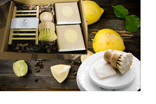 Z5 Dishwasher Kit Soap